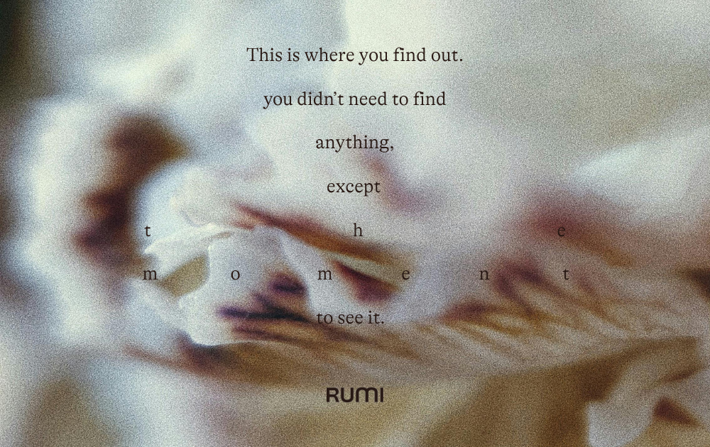 Rumi Ru Contact Rumi. Get in Touch. - Rumi : Rumi